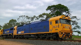 Gorae Victoria Grain Train  BL31 X50 8184  17th October 2024 [upl. by Sindee397]