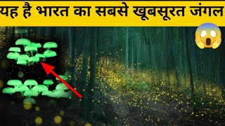 दुनिया की 5 आश्चर्यचकित करने वाली जगह। 5 most mysterious places😱 [upl. by Adriana115]