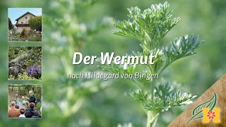 Der Wermut bei Hildegard von Bingen [upl. by Yrram]