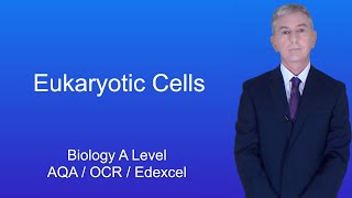 A Level Biology Revision quotEukaryotic Cellsquot [upl. by Firmin]