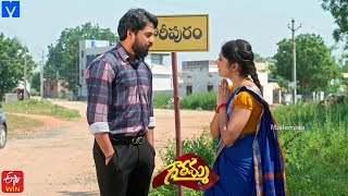 Gowramma Serial Promo  4th November 2021  Gowramma Telugu Serial  Mallemalatv [upl. by Copp690]