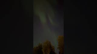 Alaska northern lights sept 17 alaska northernlights [upl. by Enuj]