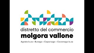 Assemblea Pubblica Distretto del Commercio Molgora e Vallone [upl. by Bearnard736]