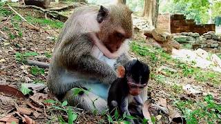 Savere ConditionPoor Baby Daliena Weakness After Dolly Suppurate Mum Baby Need MilkMonkey Videos [upl. by Akinnej514]