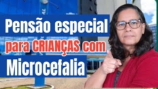 Benefício pensão especial Atualização 2015 até 31dezembro2019 [upl. by Dickens]