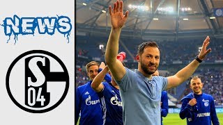 Tedesco muss Trainer bleiben Warum Schalkes Vorbild Gladbach sein muss [upl. by Fredkin]