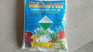 KEMISTIN Carbendazim 50 WP Systemic Fungicide [upl. by Balling]