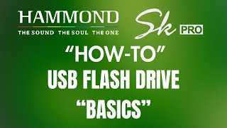 USB FLASH DRIVE BASICS [upl. by Rehpinnej]