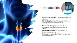 Embriología de la glándula Tiroides [upl. by Suolekcin]