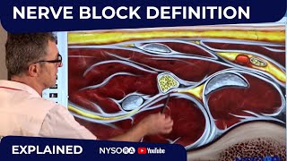 Nerve block definition  Regional anesthesia Crash course with Dr Hadzic [upl. by Rudin]