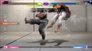 SF6 BnB Combo Tutorial and Character Guide  Akuma [upl. by Enilrek]