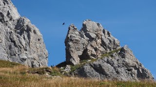 Bregenzerwald Bike und Hike Hochkünzelspitze von Schröcken Landsteg aus über die Biberacher Hütte [upl. by Grissom]