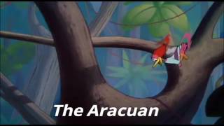 The Aracuan [upl. by Veejar]