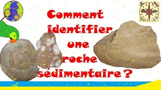 Les roches sédimentaires Minute géologique 6 [upl. by Seuqramed]