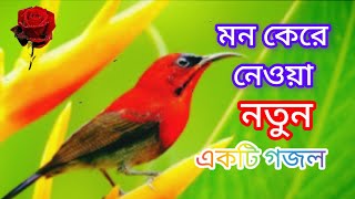 মন কেরে নেওয়ানতুন একটি গজল মারহাবা ইয়া মুস্তাফা a h tilawat [upl. by Annayak]