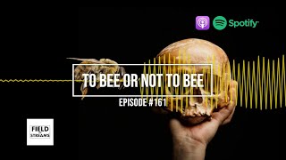 quotTo Bee or Not to Beequot  Field of Streams Podcast [upl. by Frodeen]