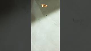 Tile fixing funny tiles floorcovering shots shorts [upl. by Khajeh]