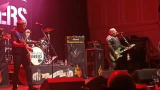 Stiff Little Fingers  Alternative Ulster  O2 City Hall  Newcastle 2024 [upl. by Fafa]