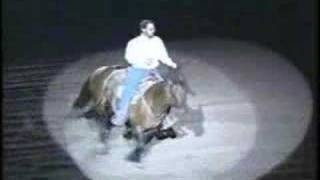 Freestyle Reining Bridleless [upl. by Yvi]