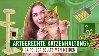 artgerechte Katzenhaltung  Einzelhaltung Kosten Kratzbäume Nassfutter  was braucht eine Katze [upl. by Forland]