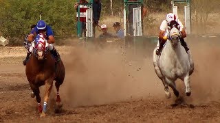 Carreras de Caballos en Mazatan 19 de Abril 2019 [upl. by Ahseinad]