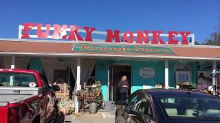 The Funky Monkey amp Boutique Warehouse [upl. by Nirik743]