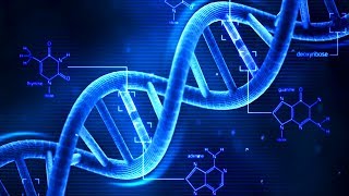 DNA  What is DNA  Basics of DNA [upl. by Relyhs622]