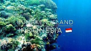 Snorkeling in Bunaken Manado Indonesia [upl. by Alatea]