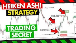 MASTER OF Heiken Ashi Strategy  How trade Heiken Ashistochastic indicator stock market [upl. by Arodasi]