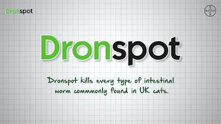 DRONSPOT® Spoton Wormer for Cats  How it Works Bayer [upl. by Aryek714]