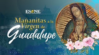 Las mañanitas a la Virgen de Guadalupe  11 de diciembre 2023 [upl. by Kal]