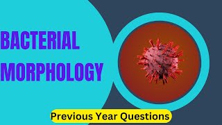 Shape of bacteria  Previous year Question for nurses [upl. by Tugman]