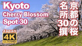 4K Japan Kyoto Cherry Blossom Spot 30（sakura 京都の桜名所30 京都観光 旅行 案内 清水寺 平安神宮 嵐山 円山公園 哲学の道 醍醐寺 二条城 祇園白川 [upl. by Ahsiadal784]