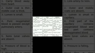 difference between arteries veins capillaries medicalstudent shortvideo Nursingstudy22 [upl. by Saire487]