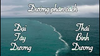 Tại sao có đường phân cách giữa Đại Tây Dương và Thái Bình Dương [upl. by Alyk497]