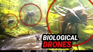 Alarming Trail Cam Footage Disbelieved and Kept Secret [upl. by Truman499]