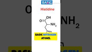 True alkaloids Proto alkaloids Pseudo alkaloids shorts alkaloids pharmacognocy pharmacy study [upl. by Josi]