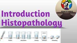 Introduction to Histopathology in Hindi ll Histopathology ll [upl. by Aisor]