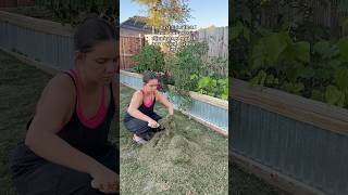 mulch chat🌱 slowliving gardening backyardgardening homegarden diy gardeningtips garden [upl. by Fassold]