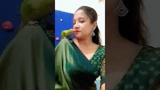 আমার শখের পাখি bdbird comedyfilms houseofbirdsbd [upl. by Kauffmann]