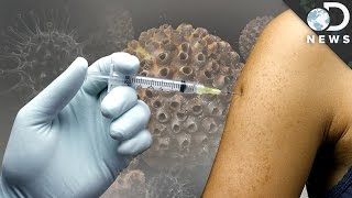 Should You Get The HPV Vaccine [upl. by Yerffoeg978]