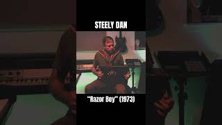 Steely Dan  quotRazor Boyquot acoustic instrumental [upl. by Eblehs]