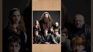 Harry potter movie  harry potter in Hindi  harry potter cast jigsawsfunpuzzle [upl. by Aniala]