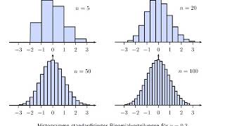 Zentraler Grenzwertsatz für die Binomialverteilung Veranschaulichung [upl. by Ciredor]