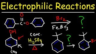 Electrophilic Aromatic Substitution Reactions Made Easy [upl. by Laith]