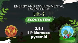 291 E P Biomass pyramid  ES301 [upl. by Ecnar602]