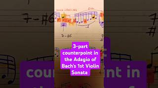 Bachs contrapuntal violin art bach violin sonata musictheory jsb partita counterpoint [upl. by Itak]