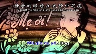 Karaoke pinyin Gặp Mẹ Trong Mơ  梦中的妈妈 [upl. by Betz]