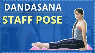 LEARN HOW TO do the STAFF POSE  Dandasana  Simple Yoga  Yoga For Beginners  Mind Body Soul [upl. by Hutson]