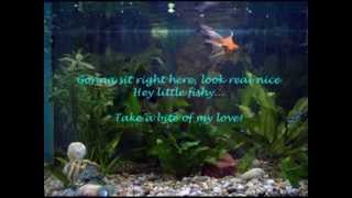 Barbra Lica  Fishies Lyric Video [upl. by Utter]